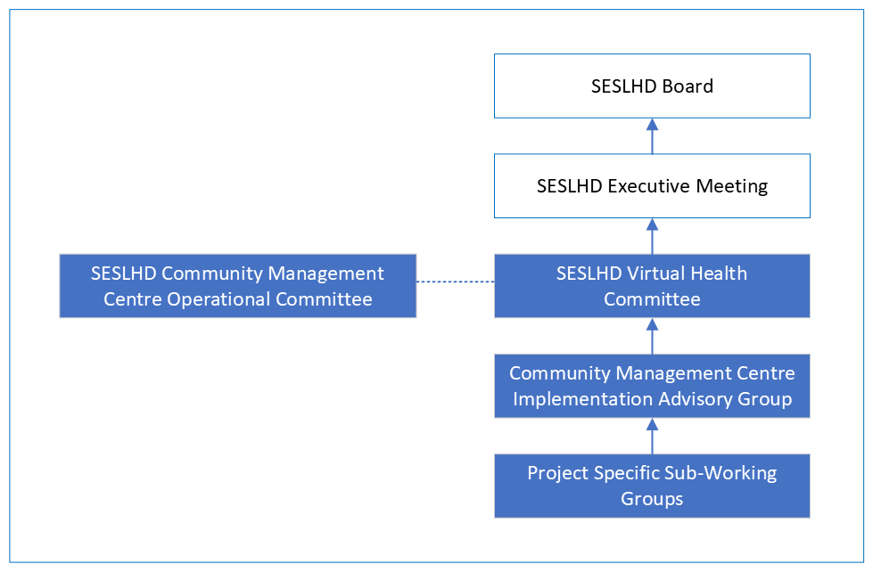 Virtual Health Governance Structure - overview image