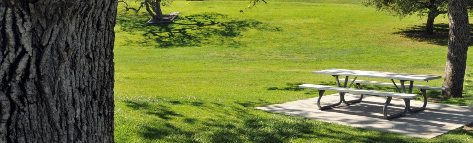 Photo of picnic in a park