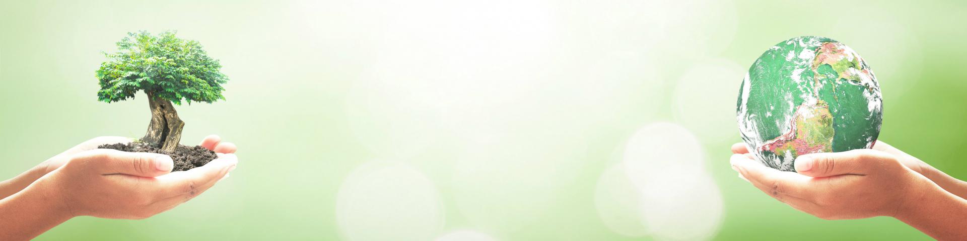 Green tree hands and globe