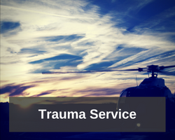 Trauma service