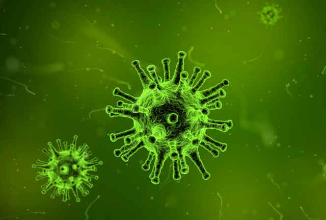 Close up of virus. The Infectious Diseases team provides information and advice to health professionals and the community.
