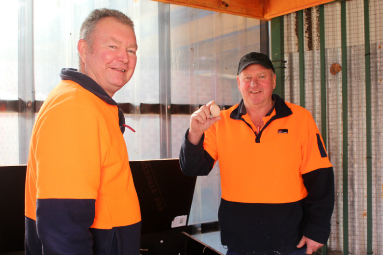 Two men in hi-vis tops in chicken coop, one holding up an egg