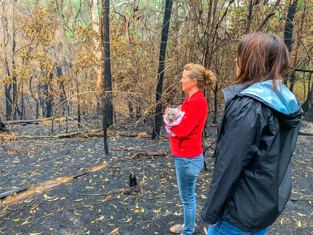 Staff look at destroyed bush area in the Southern Highlands