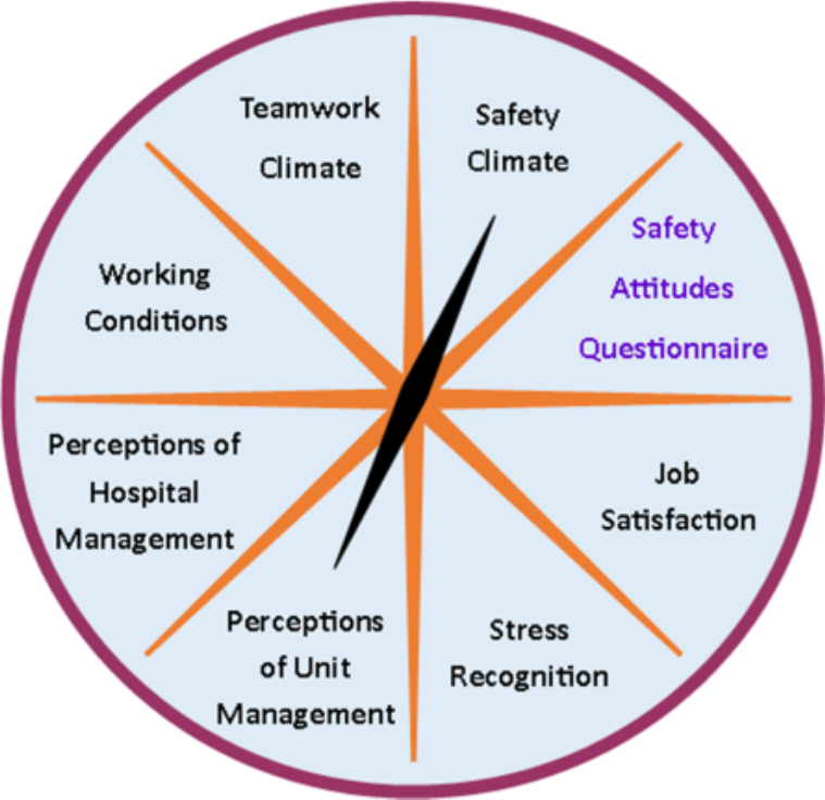 Safety Attitudes Questionnaire ( SAQ)