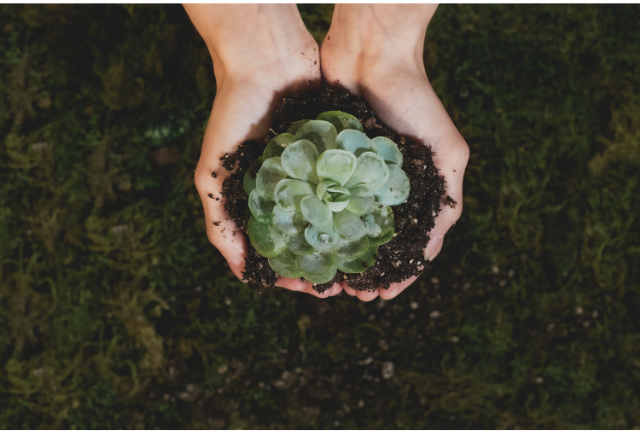 EnvironmentalSustainability
