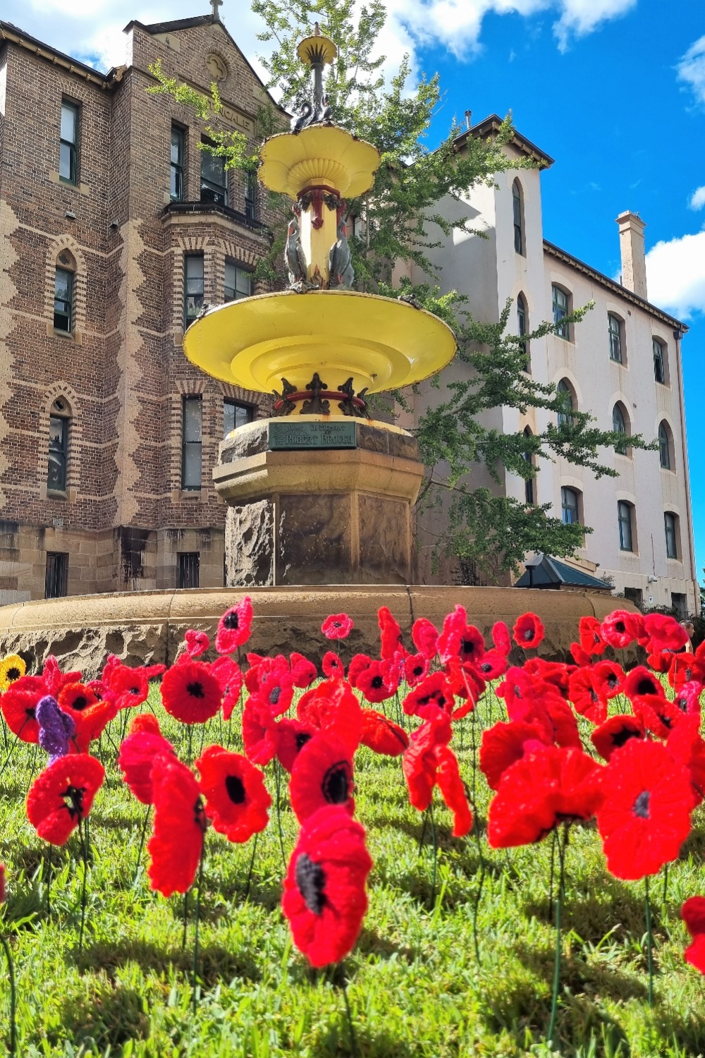 Sydney/Sydney Eye Hospital fountain, with poppies displayed 