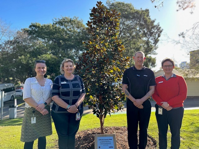 Staff standing with newly planted commemorative tree