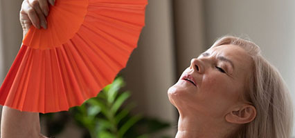 The Menopause Hub