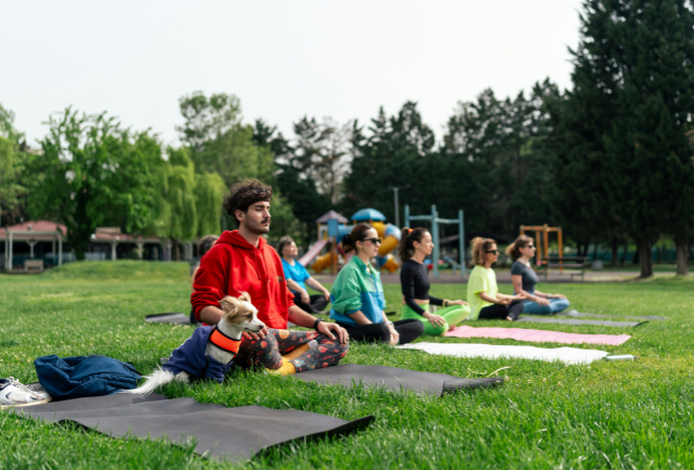 Six young people and a dog meditating on yoga mats in a park