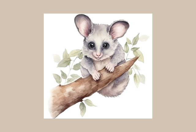 Possum Cottage Sutherland Caringbah