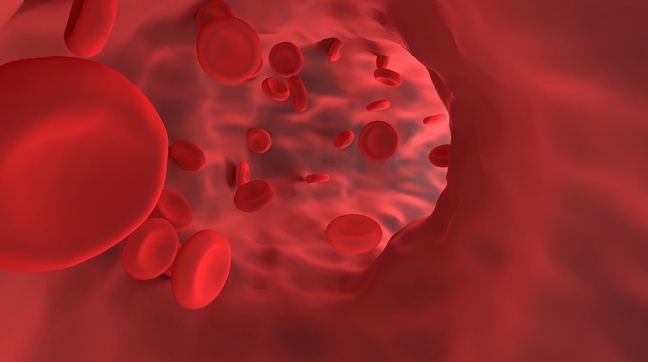 Red blood cells