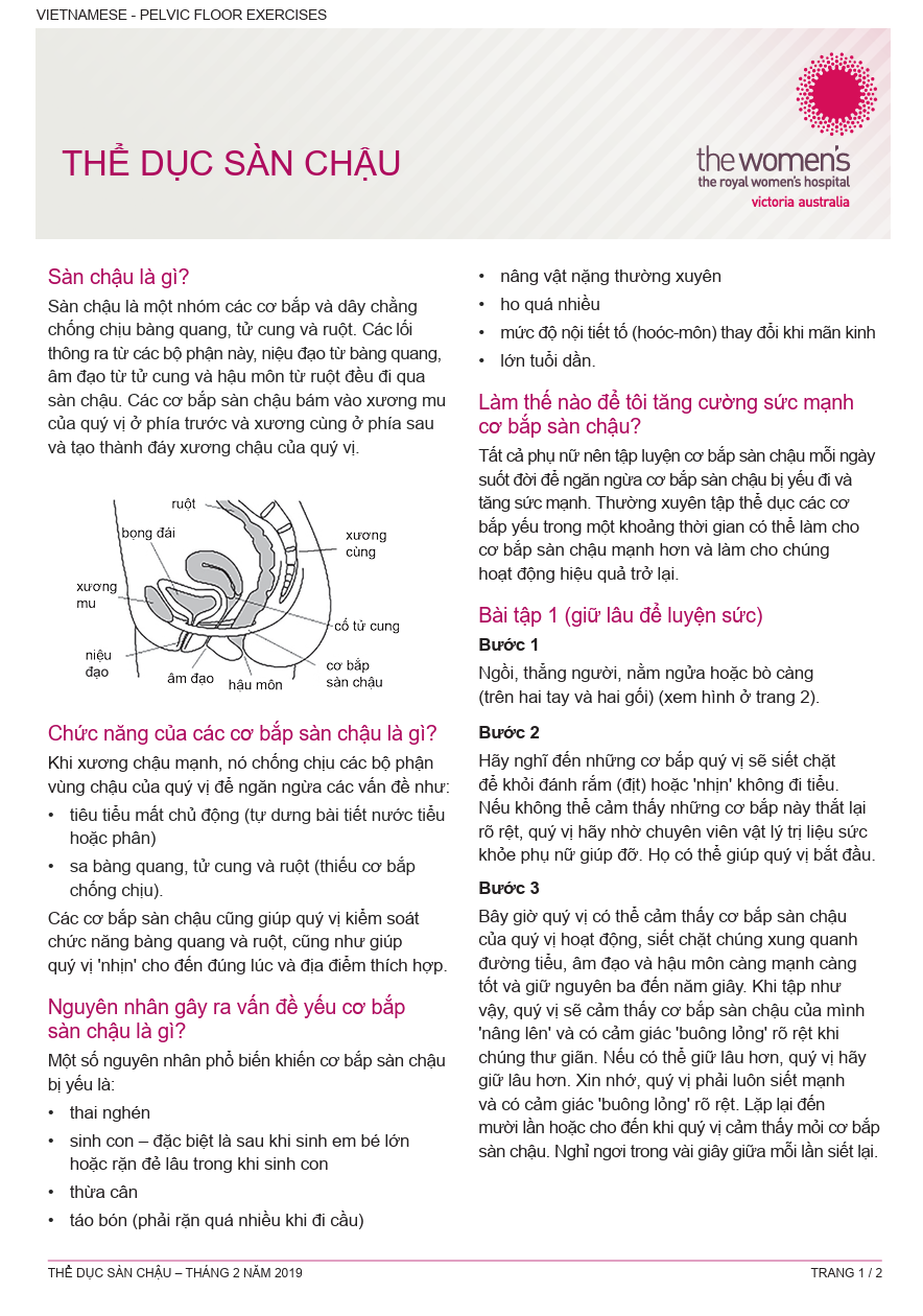 Pelvic floor (Vietnamese)