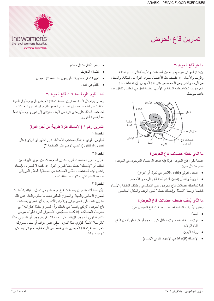 Pelvic floor (Arabic)