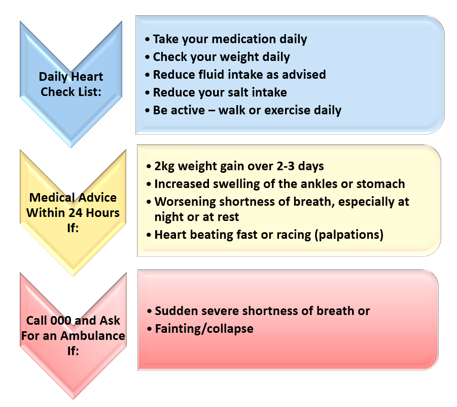 Heart Failure Action Plan