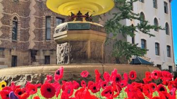 Sydney/Sydney Eye Hospital fountain, with poppies displayed 